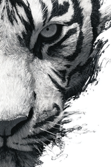 tiger design